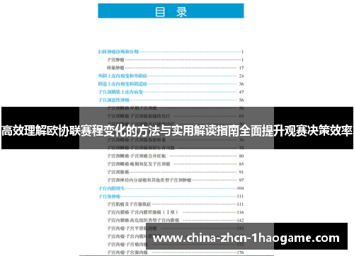 高效理解欧协联赛程变化的方法与实用解读指南全面提升观赛决策效率