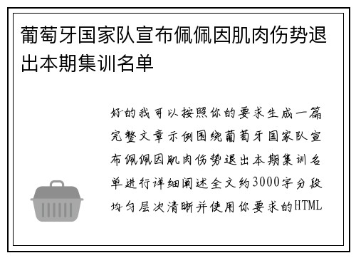 葡萄牙国家队宣布佩佩因肌肉伤势退出本期集训名单